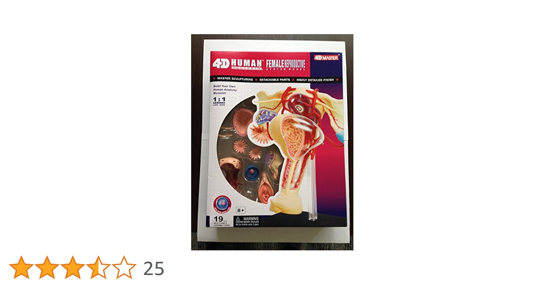 スカイネット 立体パズル 4D 人体解剖 No.15 雌性生殖器解剖 Amazon.co.jp: 青島文化教材社 スカイネット 立体パズル 4D